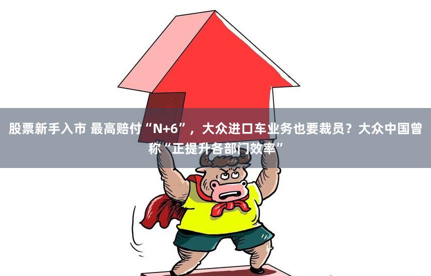 股票新手入市 最高赔付“N+6”，大众进口车业务也要裁员？大众中国曾称“正提升各部门效率”