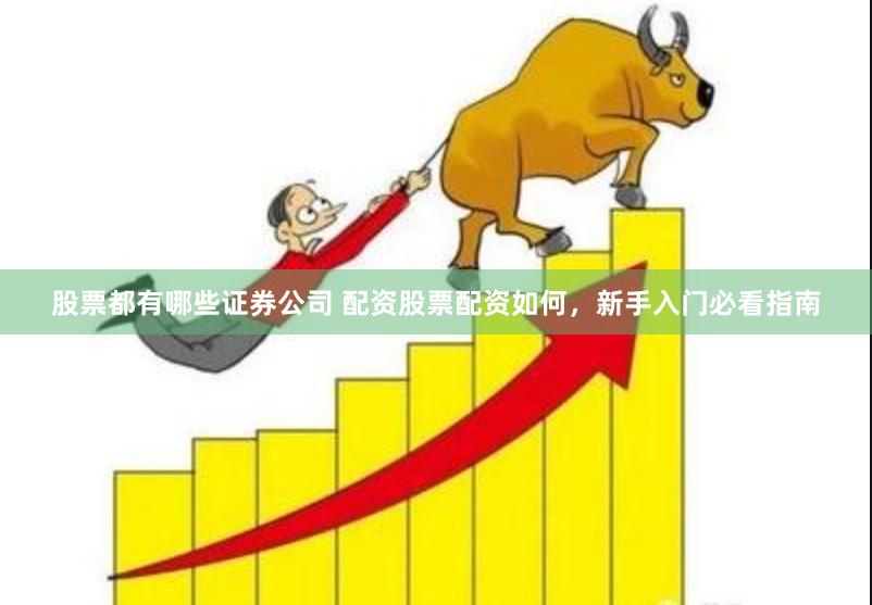 股票都有哪些证券公司 配资股票配资如何，新手入门必看指南